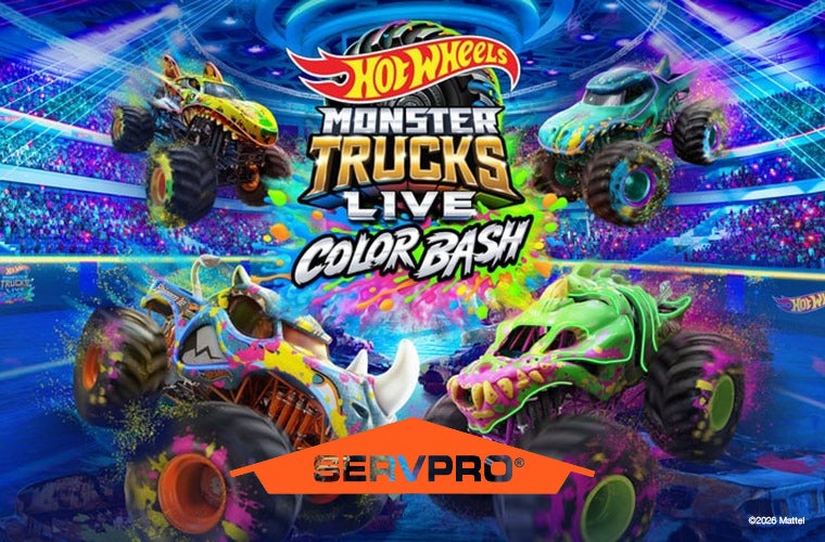 More Info for Hot Wheels Monster Trucks Live Color Bash